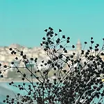 Ξενοδοχείο The Halic Bosphorus Κωνσταντινούπολη