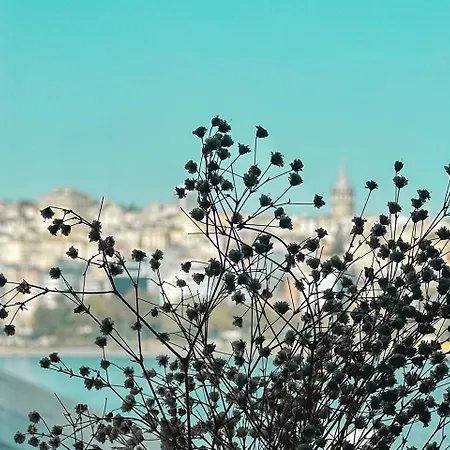 Hotel The Halic Bosphorus Istanboel